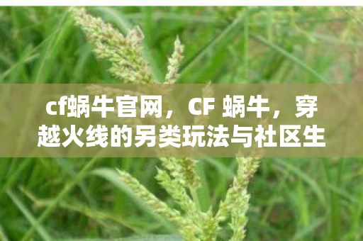 cf蜗牛官网,CF 蜗牛,穿越火线的另类玩法与社区生态 cf蜗牛官网,CF 蜗牛,穿越火线的另类玩法与社区生态