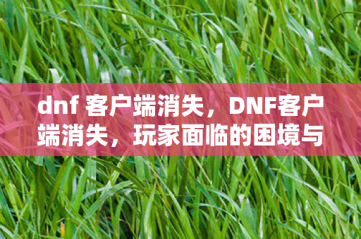dnf 客户端消失,DNF客户端消失,玩家面临的困境与官方应对措施 dnf 客户端消失,DNF客户端消失,玩家面临的困境与官方应对措施