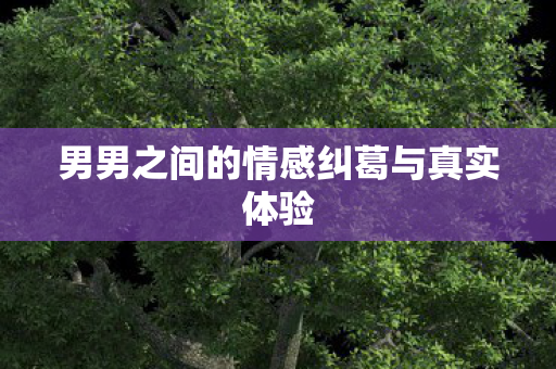 男男之间的情感纠葛与真实体验 男男之间的情感纠葛与真实体验