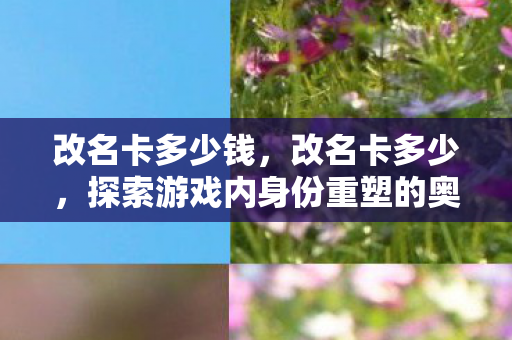 改名卡多少钱，改名卡多少，探索游戏内身份重塑的奥秘与成本