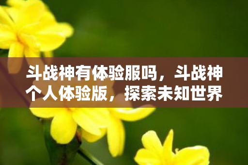 斗战神有体验服吗,斗战神个人体验版,探索未知世界的奇妙之旅 斗战神有体验服吗,斗战神个人体验版,探索未知世界的奇妙之旅