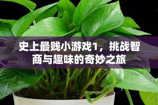 史上最贱小游戏1,挑战智商与趣味的奇妙之旅 史上最贱小游戏1,挑战智商与趣味的奇妙之旅