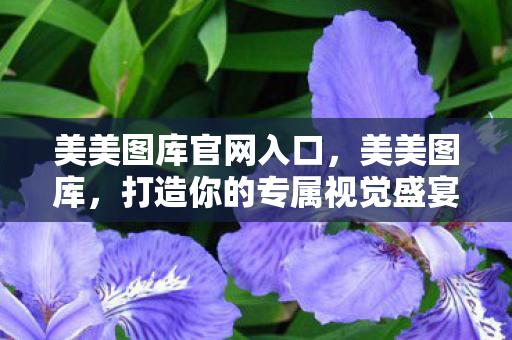 美美图库官网入口,美美图库,打造你的专属视觉盛宴 美美图库官网入口,美美图库,打造你的专属视觉盛宴