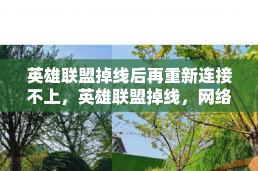 英雄联盟掉线后再重新连接不上,英雄联盟掉线,网络波动下的游戏挑战与应对策略 英雄联盟掉线后再重新连接不上,英雄联盟掉线,网络波动下的游戏挑战与应对策略