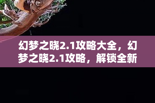 幻梦之晓2.1攻略大全,幻梦之晓2.1攻略,解锁全新冒险,成就非凡之旅 幻梦之晓2.1攻略大全,幻梦之晓2.1攻略,解锁全新冒险,成就非凡之旅