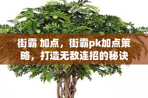 街霸 加点,街霸pk加点策略,打造无敌连招的秘诀 街霸 加点,街霸pk加点策略,打造无敌连招的秘诀