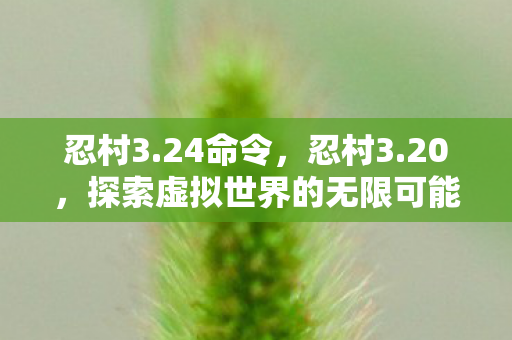 忍村3.24命令,忍村3.20,探索虚拟世界的无限可能 忍村3.24命令,忍村3.20,探索虚拟世界的无限可能
