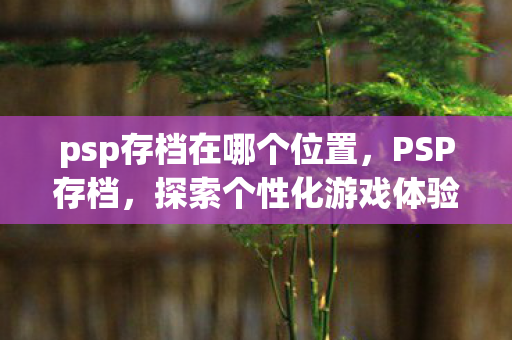 psp存档在哪个位置,PSP存档,探索个性化游戏体验的无限可能 psp存档在哪个位置,PSP存档,探索个性化游戏体验的无限可能