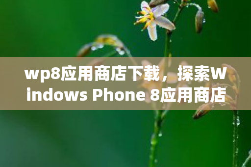 wp8应用商店下载,探索Windows Phone 8应用商店,创新与机遇并存 wp8应用商店下载,探索Windows Phone 8应用商店,创新与机遇并存