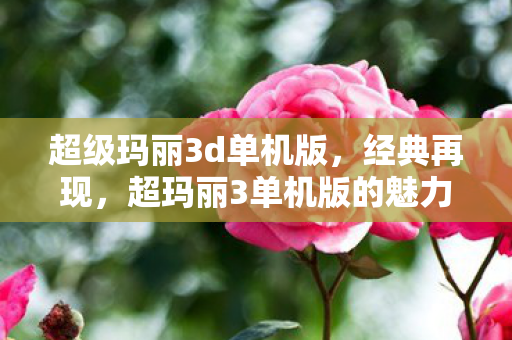 超级玛丽3d单机版，经典再现，超玛丽3单机版的魅力与回忆