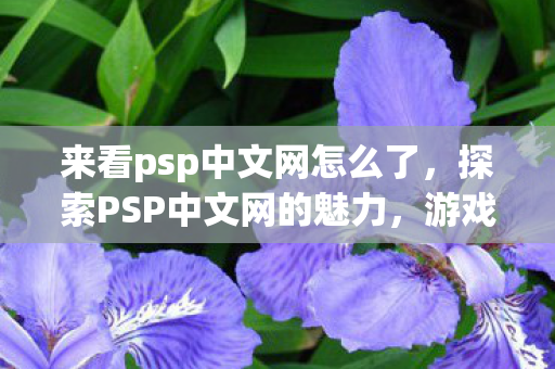 来看psp中文网怎么了,探索PSP中文网的魅力,游戏文化的独特视角与社区互动 来看psp中文网怎么了,探索PSP中文网的魅力,游戏文化的独特视角与社区互动