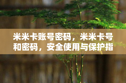 米米卡账号密码,米米卡号和密码,安全使用与保护指南 米米卡账号密码,米米卡号和密码,安全使用与保护指南