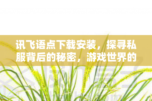 讯飞语点下载安装,探寻私服背后的秘密,游戏世界的另一面 讯飞语点下载安装,探寻私服背后的秘密,游戏世界的另一面