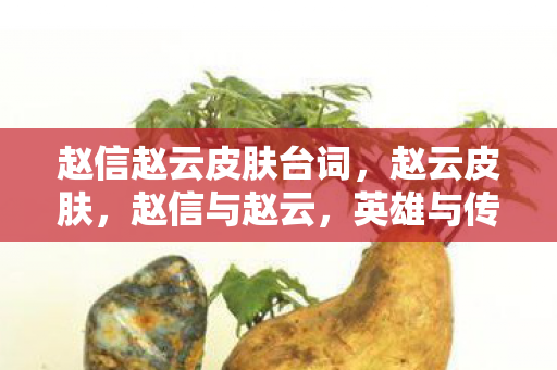 赵信赵云皮肤台词,赵云皮肤,赵信与赵云,英雄与传奇的碰撞 赵信赵云皮肤台词,赵云皮肤,赵信与赵云,英雄与传奇的碰撞