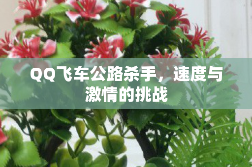 QQ飞车公路杀手,速度与激情的挑战 QQ飞车公路杀手,速度与激情的挑战