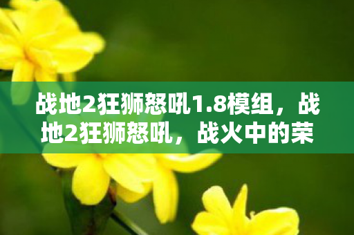 战地2狂狮怒吼1.8模组,战地2狂狮怒吼,战火中的荣耀与梦想 战地2狂狮怒吼1.8模组,战地2狂狮怒吼,战火中的荣耀与梦想