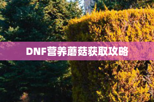 DNF营养蘑菇获取攻略 DNF营养蘑菇获取攻略
