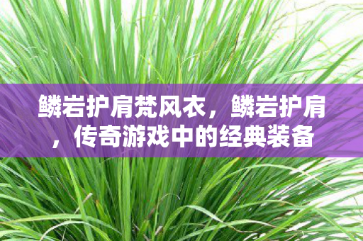 鳞岩护肩梵风衣,鳞岩护肩,传奇游戏中的经典装备 鳞岩护肩梵风衣,鳞岩护肩,传奇游戏中的经典装备