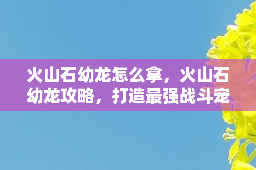 火山石幼龙怎么拿,火山石幼龙攻略,打造最强战斗宠物的全面指南 火山石幼龙怎么拿,火山石幼龙攻略,打造最强战斗宠物的全面指南