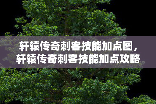 轩辕传奇刺客技能加点图,轩辕传奇刺客技能加点攻略 轩辕传奇刺客技能加点图,轩辕传奇刺客技能加点攻略
