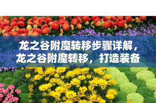 龙之谷附魔转移步骤详解,龙之谷附魔转移,打造装备新境界 龙之谷附魔转移步骤详解,龙之谷附魔转移,打造装备新境界