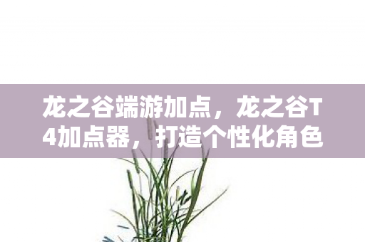 龙之谷端游加点，龙之谷T4加点器，打造个性化角色，提升战斗力的关键工具