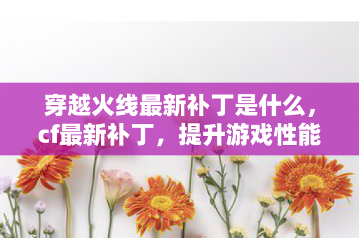 穿越火线最新补丁是什么,cf最新补丁,提升游戏性能与体验的全面升级 穿越火线最新补丁是什么,cf最新补丁,提升游戏性能与体验的全面升级