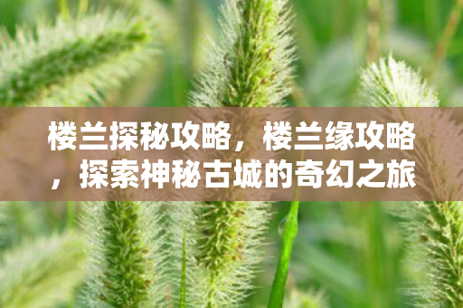 楼兰探秘攻略,楼兰缘攻略,探索神秘古城的奇幻之旅 楼兰探秘攻略,楼兰缘攻略,探索神秘古城的奇幻之旅