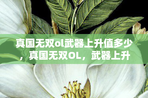 真国无双ol武器上升值多少,真国无双OL,武器上升值深度解析 真国无双ol武器上升值多少,真国无双OL,武器上升值深度解析