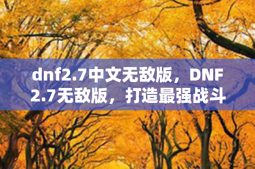 dnf2.7中文无敌版,DNF2.7无敌版,打造最强战斗力的终极指南 dnf2.7中文无敌版,DNF2.7无敌版,打造最强战斗力的终极指南