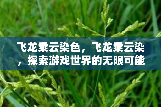 飞龙乘云染色,飞龙乘云染,探索游戏世界的无限可能 飞龙乘云染色,飞龙乘云染,探索游戏世界的无限可能