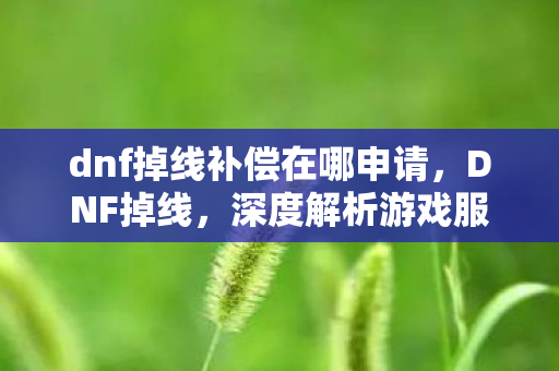 dnf掉线补偿在哪申请,DNF掉线,深度解析游戏服务器稳定性问题 dnf掉线补偿在哪申请,DNF掉线,深度解析游戏服务器稳定性问题