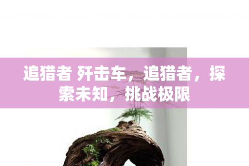 追猎者 歼击车,追猎者,探索未知,挑战极限 追猎者 歼击车,追猎者,探索未知,挑战极限