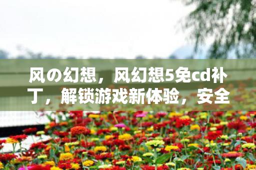 风の幻想,风幻想5免cd补丁,解锁游戏新体验,安全使用是关键 风の幻想,风幻想5免cd补丁,解锁游戏新体验,安全使用是关键