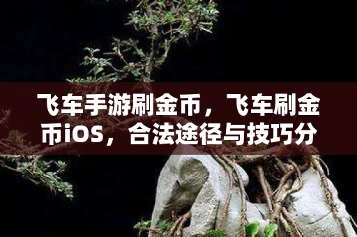 飞车手游刷金币，飞车刷金币iOS，合法途径与技巧分享