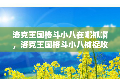 洛克王国格斗小八在哪抓啊，洛克王国格斗小八捕捉攻略