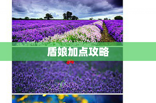 盾娘加点攻略