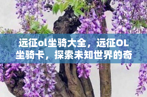 远征ol坐骑大全,远征OL坐骑卡,探索未知世界的奇幻之旅 远征ol坐骑大全,远征OL坐骑卡,探索未知世界的奇幻之旅