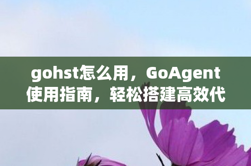 gohst怎么用,GoAgent使用指南,轻松搭建高效代理环境 gohst怎么用,GoAgent使用指南,轻松搭建高效代理环境