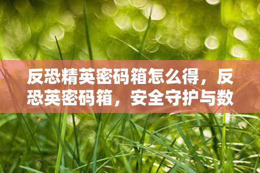 反恐精英密码箱怎么得,反恐英密码箱,安全守护与数字时代的隐私挑战 反恐精英密码箱怎么得,反恐英密码箱,安全守护与数字时代的隐私挑战