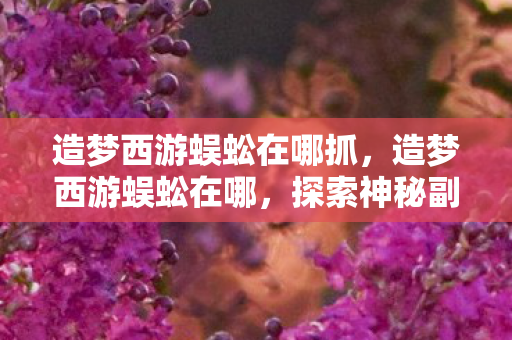 造梦西游蜈蚣在哪抓,造梦西游蜈蚣在哪,探索神秘副本的指南 造梦西游蜈蚣在哪抓,造梦西游蜈蚣在哪,探索神秘副本的指南