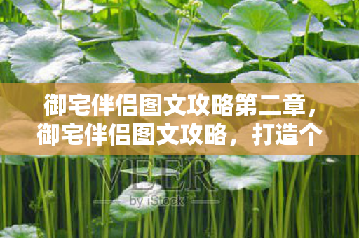 御宅伴侣图文攻略第二章,御宅伴侣图文攻略,打造个性化游戏世界 御宅伴侣图文攻略第二章,御宅伴侣图文攻略,打造个性化游戏世界