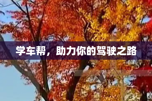 学车帮,助力你的驾驶之路 学车帮,助力你的驾驶之路