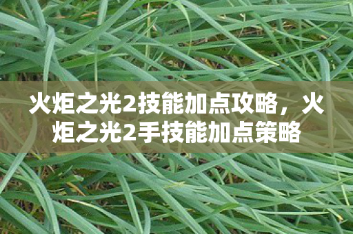 火炬之光2技能加点攻略,火炬之光2手技能加点策略 火炬之光2技能加点攻略,火炬之光2手技能加点策略