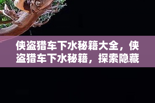 侠盗猎车下水秘籍大全,侠盗猎车下水秘籍,探索隐藏的水下世界 侠盗猎车下水秘籍大全,侠盗猎车下水秘籍,探索隐藏的水下世界