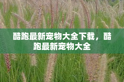 酷跑最新宠物大全下载，酷跑最新宠物大全