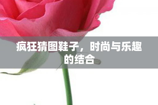 疯狂猜图鞋子,时尚与乐趣的结合 疯狂猜图鞋子,时尚与乐趣的结合