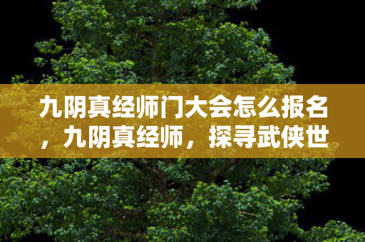 九阴真经师门大会怎么报名,九阴真经师,探寻武侠世界的奥秘 九阴真经师门大会怎么报名,九阴真经师,探寻武侠世界的奥秘