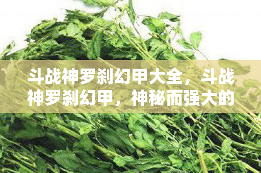 斗战神罗刹幻甲大全,斗战神罗刹幻甲,神秘而强大的装备 斗战神罗刹幻甲大全,斗战神罗刹幻甲,神秘而强大的装备