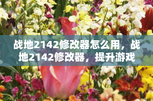 战地2142修改器怎么用，战地2142修改器，提升游戏体验的利器